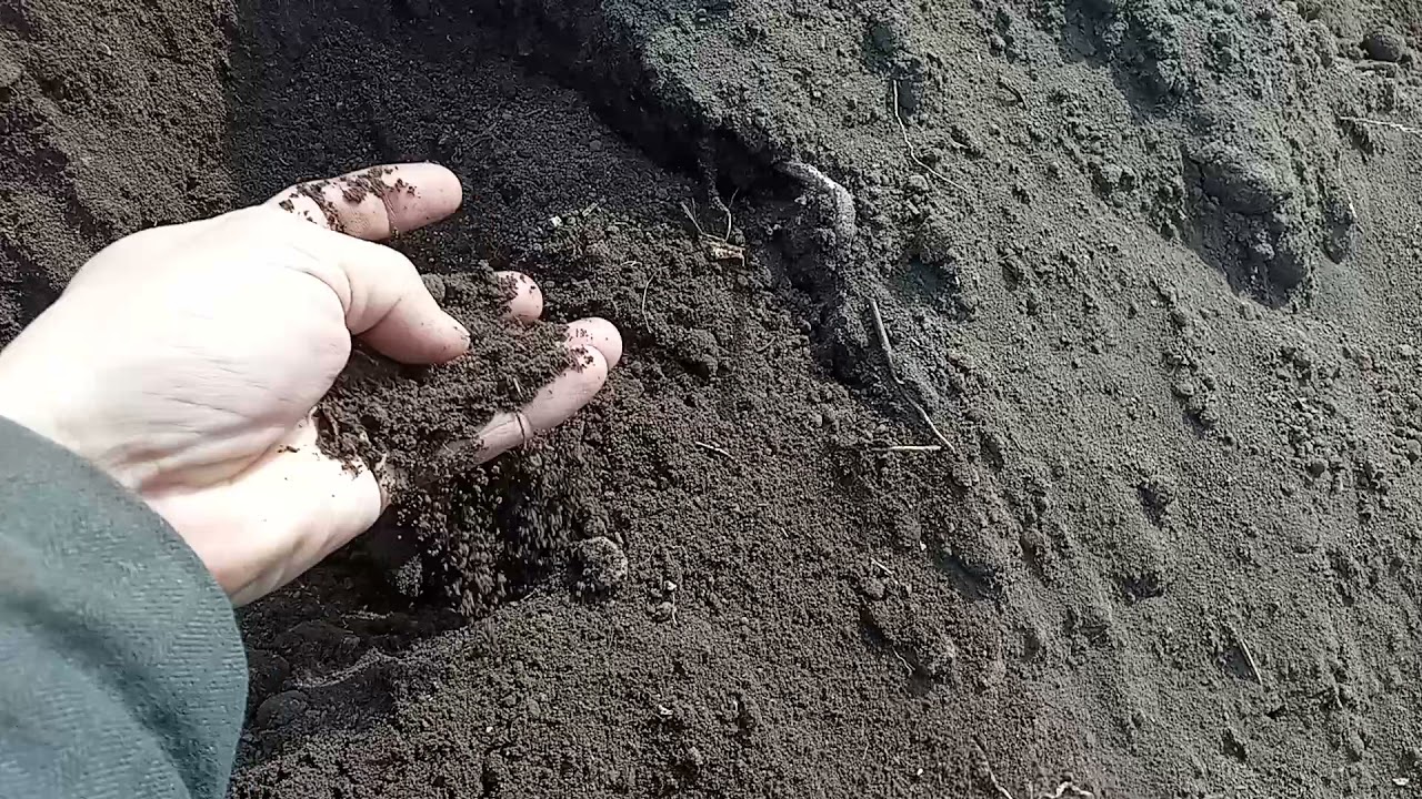 хоовонд савлах үрсэлгээний хөрс бэлдэх