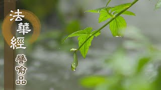 【靜思妙蓮華】法華經譬喻品 - 智慧方便 權實並用 - 20201215 第595集