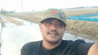 GALINDENG NYI RATU EMKA 9  KDM  - SULTAN DELPO VIDEO - KLIP COVER LAGU EMKA 9 KDM MINI VLOG