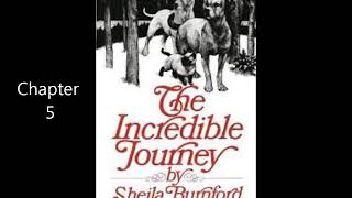Incredible journey Chapter 5