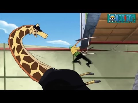 海贼王 - 索隆在拼命的战斗，娜美跟乌索普却躲在后面，笑死我了