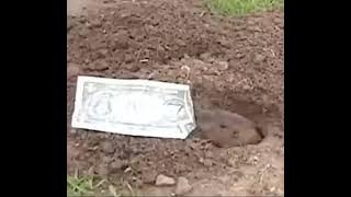 GILA! CUMA ORANG JENIUS YANG BISA PAHAM JOKE INI!