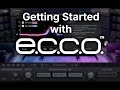 VSX E C C O Tutorial VSX E C C O Tutorial