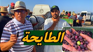 هام جدًا لمستهلك 🚨هاد 👀النوع ديال الزيتون 🫒رخيص ولكن الجودة رديئة | وكاين لكخلطها مع المزيانة