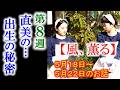 【風、薫る】朝ドラ第8週 直美の母親…出生の秘密を握る「夕凪」の正体とは…連続テレビ小説 あらすじ