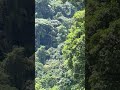zip lining in Costa Rica .... wait for it