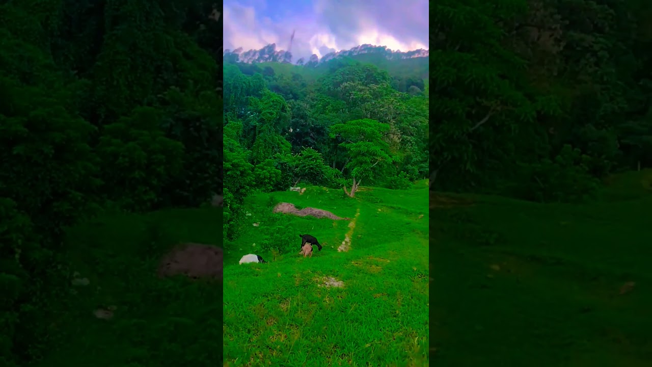 lalit mohan joshi old song 