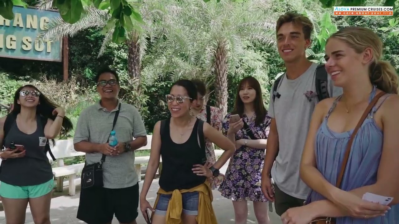 Alova Premium Cruise - Halong Bay 1 Day Tour