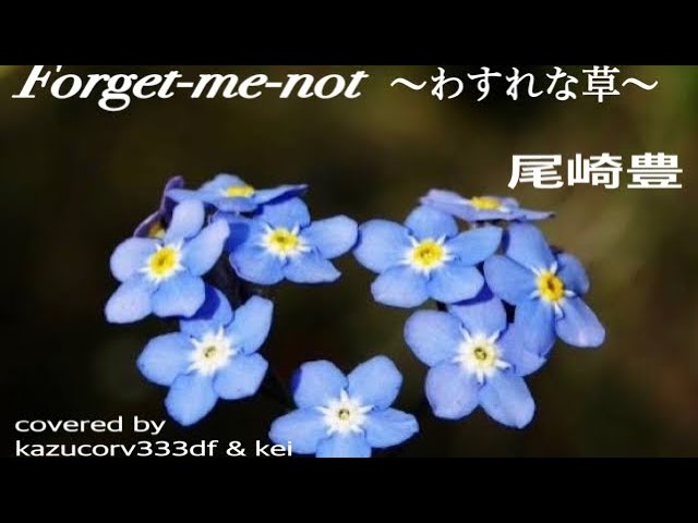 Forget Me Not わすれな草 尾崎豊 Cover Take2 Youtube