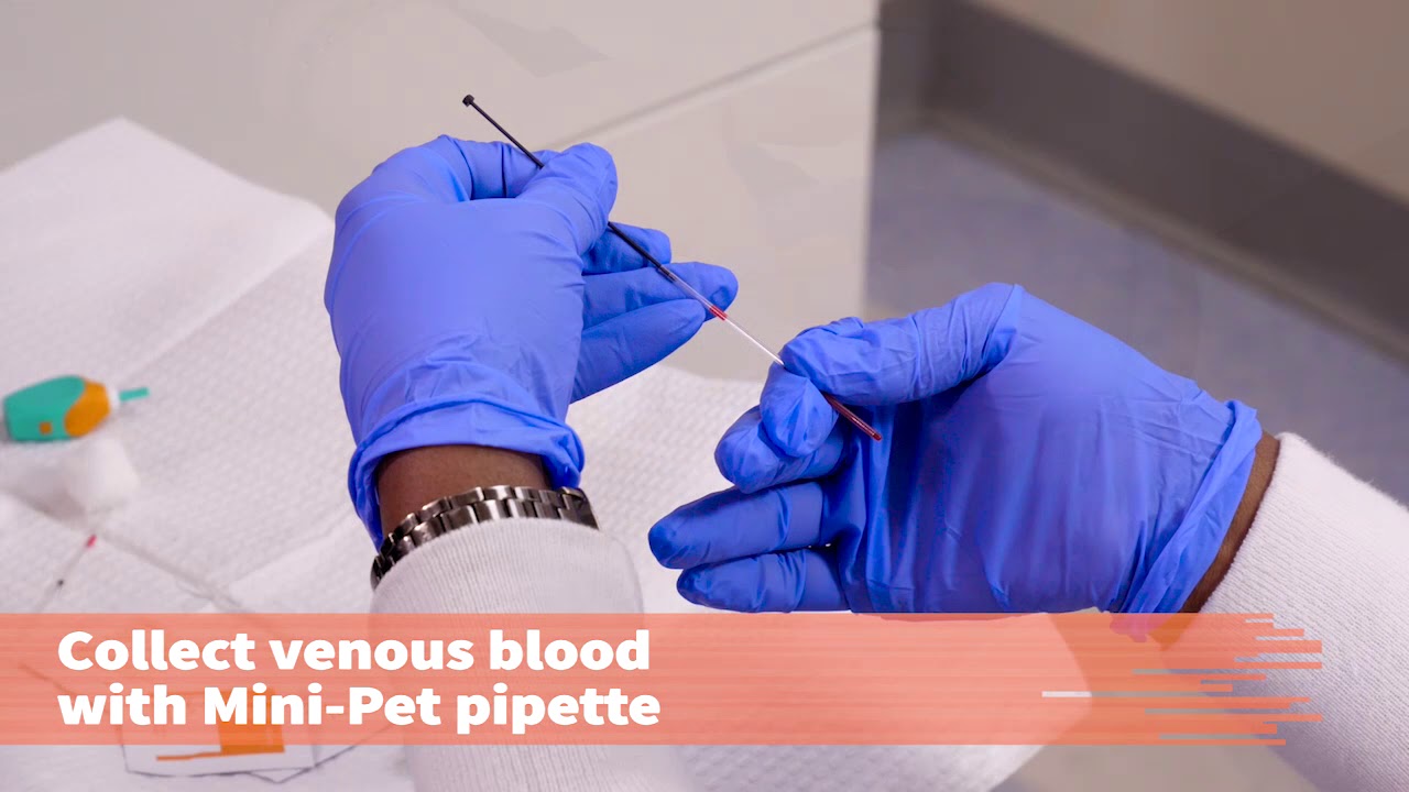 Выполните биохимический тест, одобренный CLIA. Определите уровень холестерина или липидный профил...