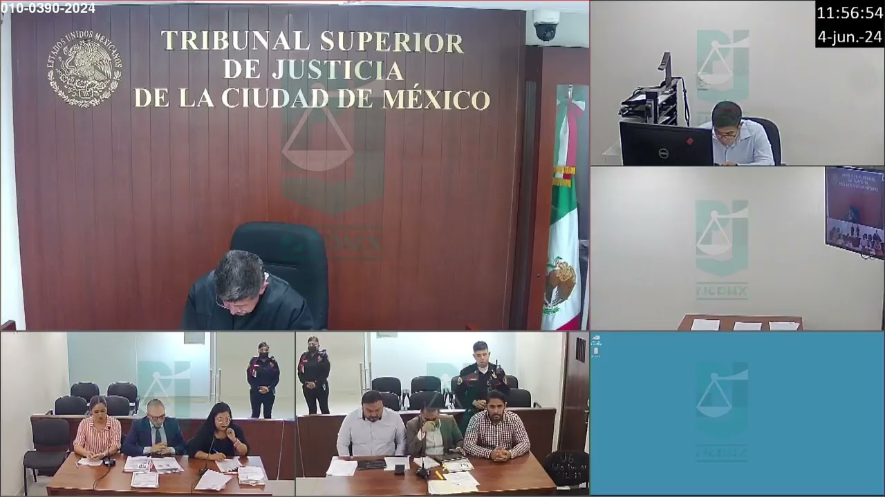 Audiencia Inicial
