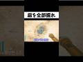 庭の土を全部堀った結果がヤバすぎたw#shorts