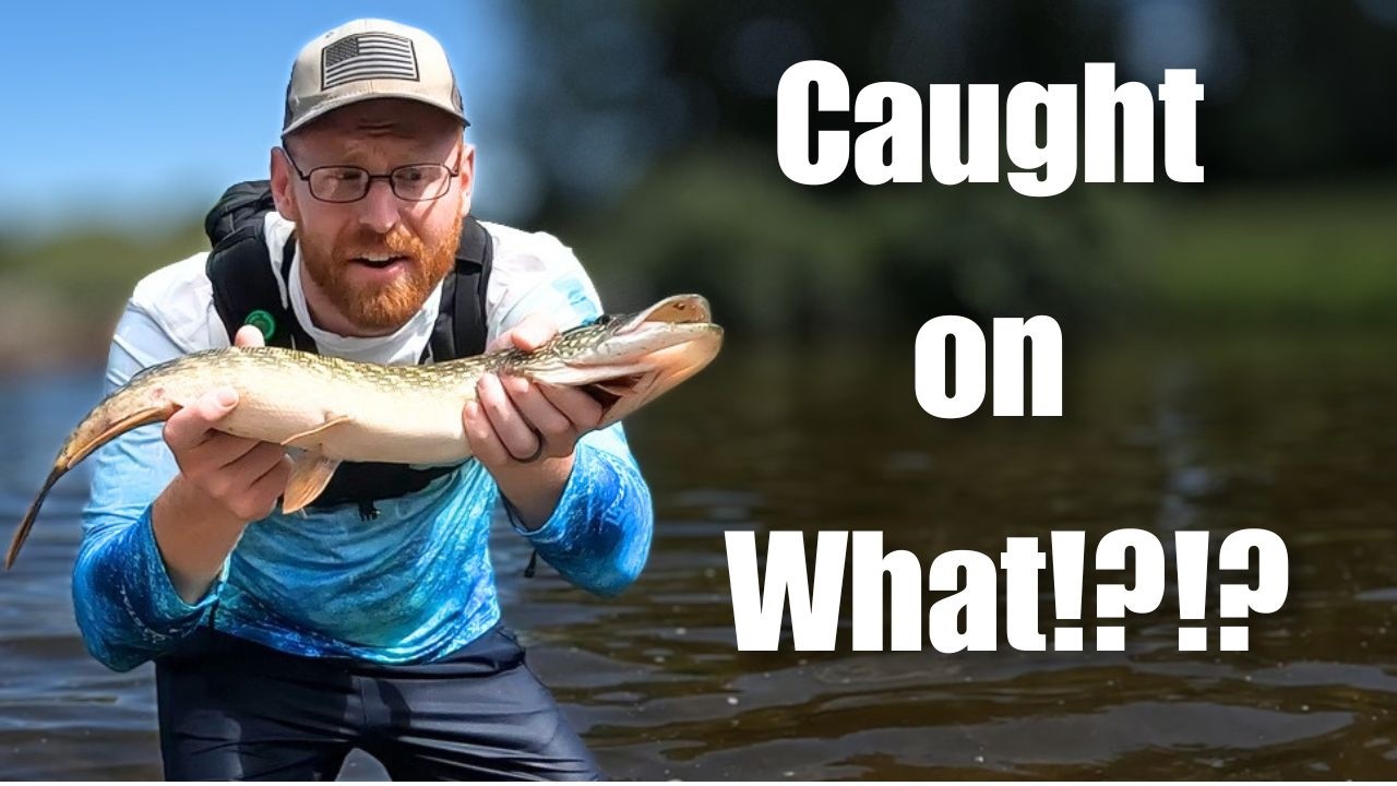 chasing monsters fishing rod and reel Chasing Monsters with a Tiny Rod
