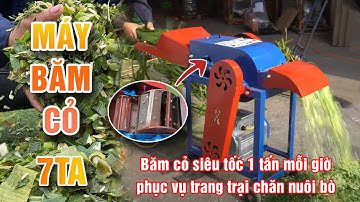 Máy Băm Cỏ 7TA Bình An | Băm cỏ siêu tốc 1 tấn mỗi giờ phục vụ trang trại chăn nuôi bò