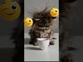 Доброе утро, ПОНЕДЕЛЬНИК! 🤗🤗🤗 08.09.2025г. Всем здоровья,  удачи, везения, счастья и позитива! 😁😁😁