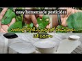 Home made pesticides zero cost pesticidesfertilizer for all plants