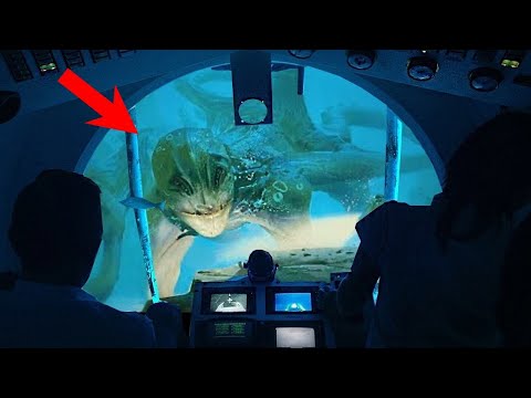Видео: Мамутът Мегалодон, Акулата около 30 пъти размера на Големия бял