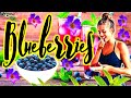 AMAZING! Health Benefits of Blueberries - blueberries benefits for health #Blueberries