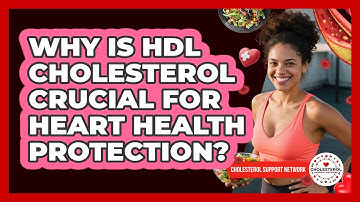 Why Is HDL Cholesterol Crucial For Heart Health Protection? - Cholesterol Support Network