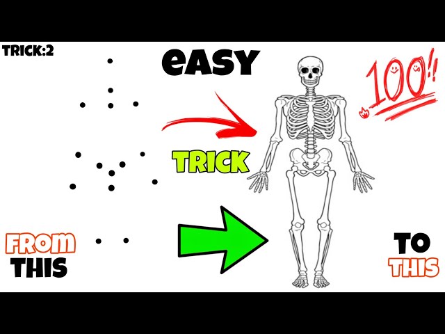 human skeleton diagram / how to draw human skeleton drawing easy class=
