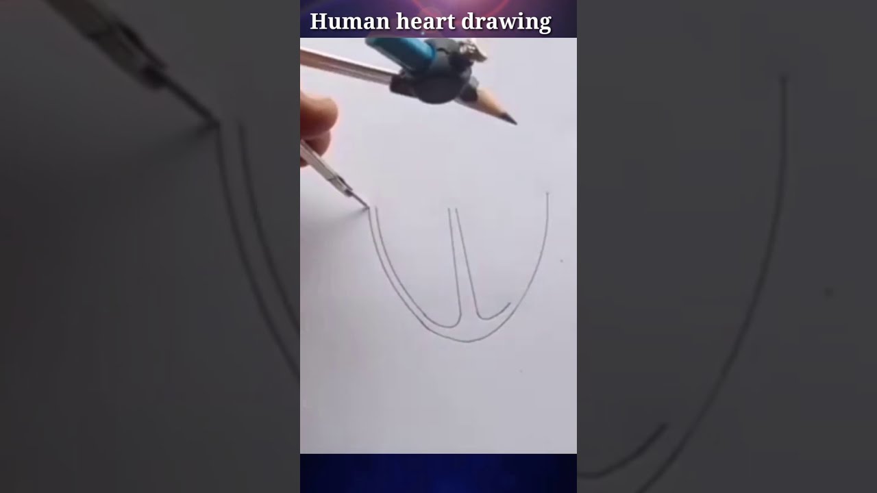 human heart drawing in easy way