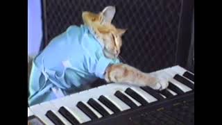 Keyboard Cat Spring 21 Mashup!
