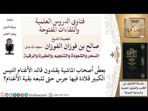 ما حكم تعليق قلادة فيها جرس على قائد الأغنام؟ لمعالي الشيخ صالح الفوزان