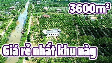 Bán 3660m2 đất vườn giá rẻ có tiềm năng tăng giá tại Bình Đức Bến Lức
