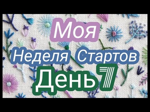 Стартовый день