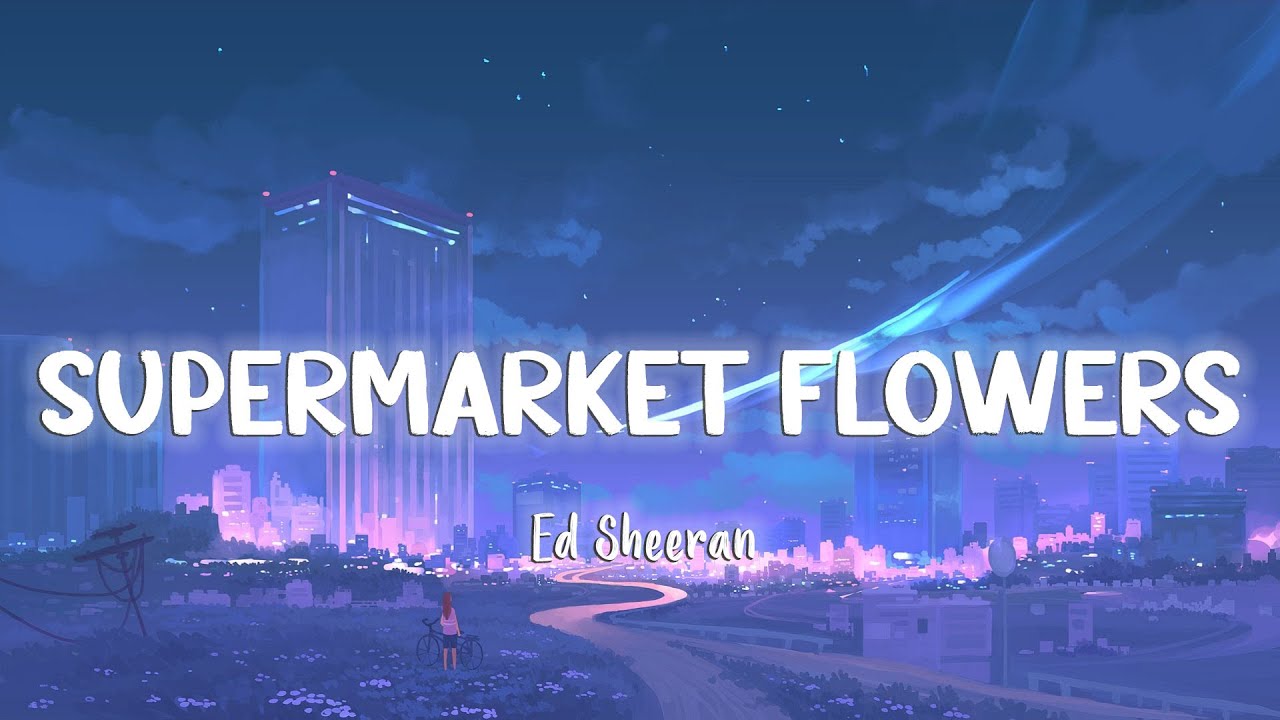 Supermarket Flowers   Ed Sheeran LyricsVietsub