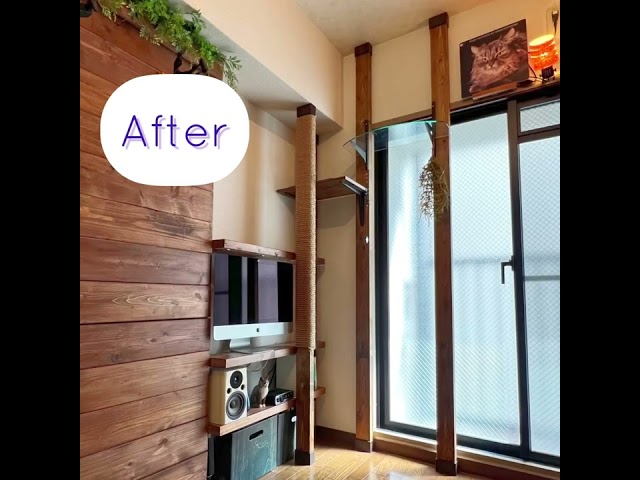 透明のステップ付きキャットタワーNEW!