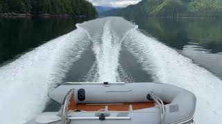 Bayliner 2556 cruise settings. 