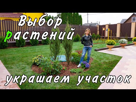 Ландшафтный дизайн под ключ | Выбор садовых растений