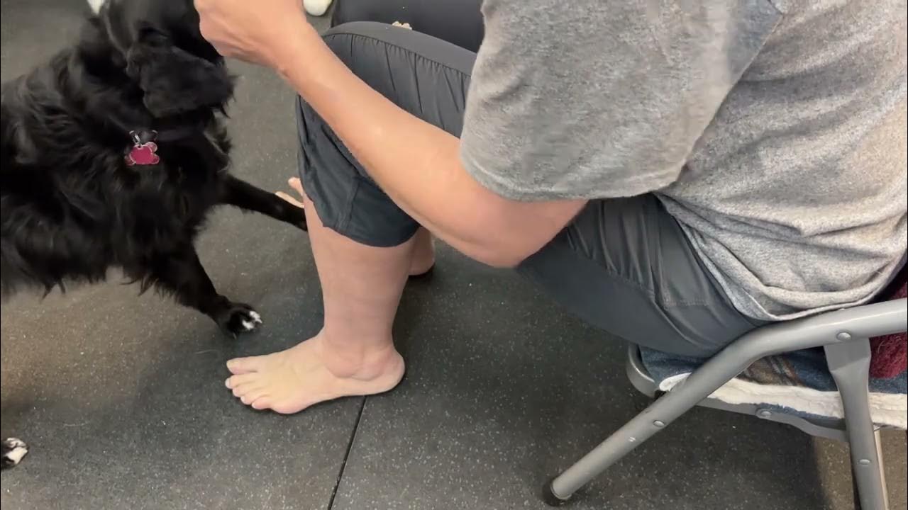 Olive 32423 chorus line kicks YouTube