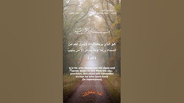 هو الذي يريكم آياته وينـزل لكم من السماء رزقا #القرآن_الكريم #islamictext #راحة_نفسية #holyquran
