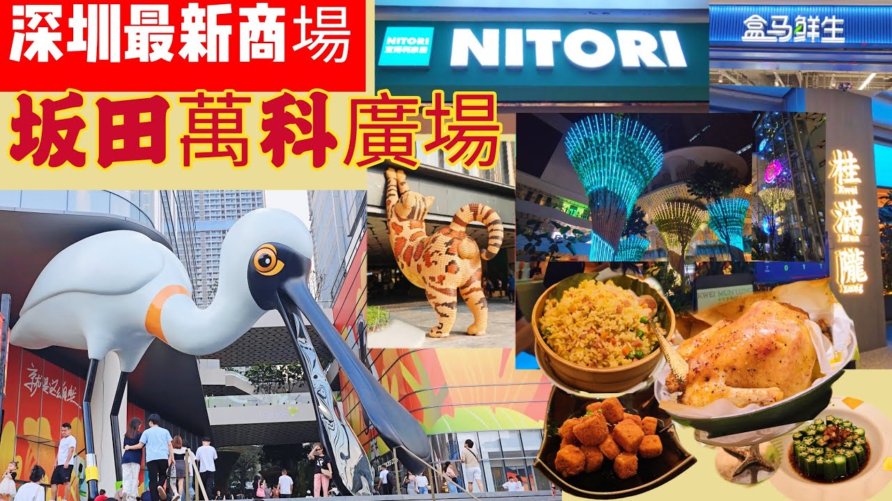 《深圳🤤食😍玩遊記》EP30 深圳最新商場|坂田萬科廣場|桂滿隴|盒馬鮮生