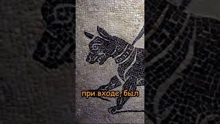 Самые ранние таблички с надписью: &quot;Осторожно, злая собака!&quot;  | Древний Рим
