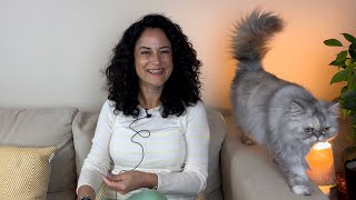 Kedinizle ilişki türünüz bunlardan hangisi⁉️ by Kedi Lolayla 5,580 views 6 months ago 5 minutes, 50 seconds