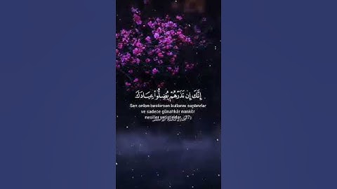 القارئ محمود أبو عمر تلاوه جميله