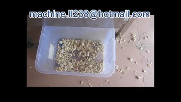 139 Garlic Separating machine ,Separating machine for Garlic, 大蒜分瓣机