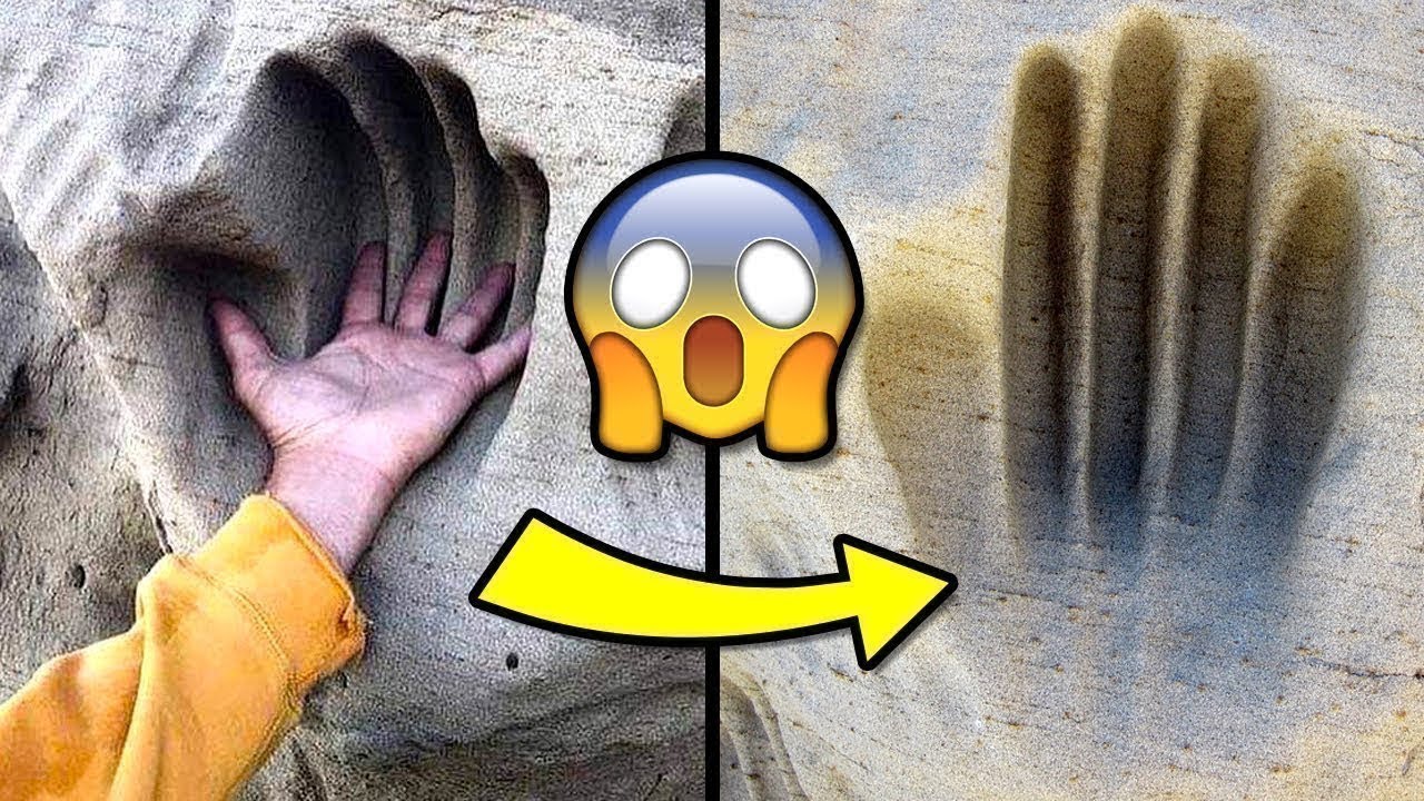 Втфакт. Wtfakt