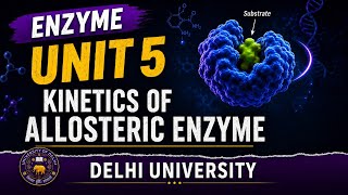 Kinetics of Allosteric Enzyme | Enzyme Unit 5 |Bsc zoology hons| sem 2 | Delhi University
