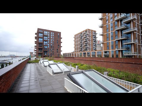 De Groene Kaap met daktuinen, dakterrassen en loopbruggen