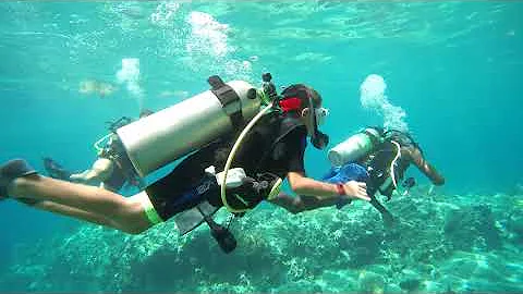 St. Lucia Diving with the Kids