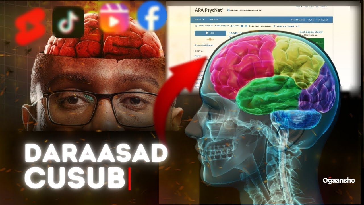 Daraasad Cusub | Maskaxdaada iyo Muuqaalada Deg-Degga ah .