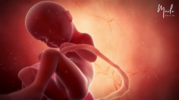 33 Weeks of Pregnancy | Third Trimester | Fetal Stage