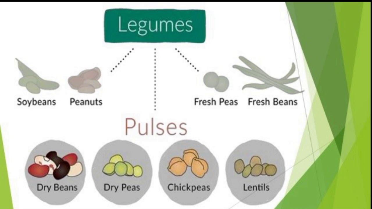 Introduction to Pulses YouTube