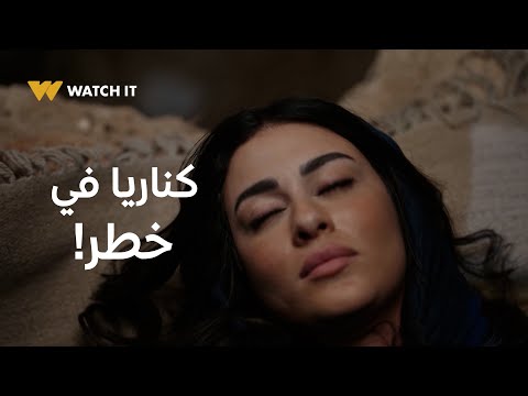 فهد البطل 6 كناريا في خطر وفهد لازم يلحقها من اللي أبوها ناوي يعمله 