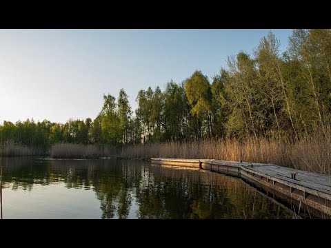 Топ Мест Для Рыбалки В Киевской Области