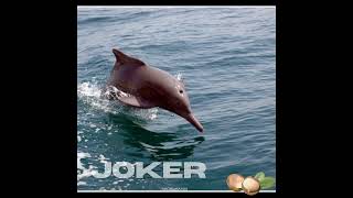 [FREE] Travis Scott DARK Trap 808 Type Beat 2026 - "JOKER" (127 BPM) | Prod. Macadamia Man